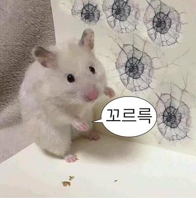 후기 사진 1