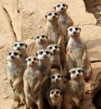 후기 사진 1