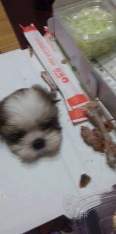 후기 사진 1