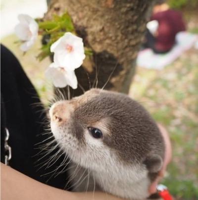 후기 사진 1