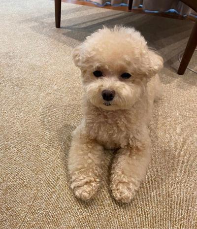 후기 사진 1
