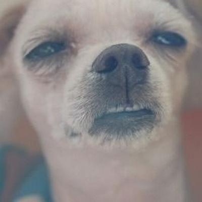 후기 사진 1