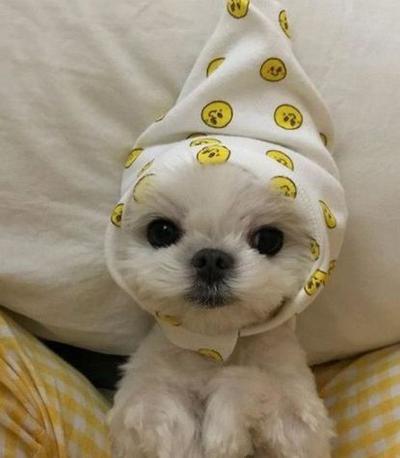 후기 사진 1
