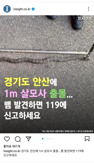 후기 사진 1