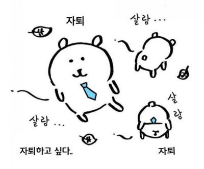 후기 사진 1