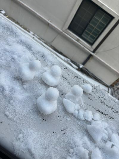 후기 사진 1