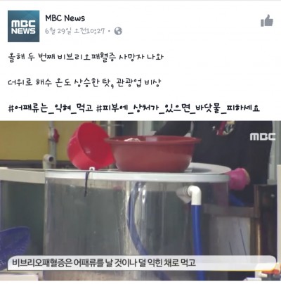 후기 사진 1