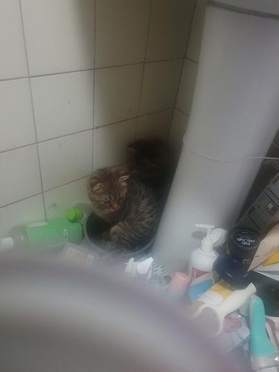 후기 사진 4