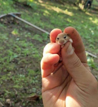 후기 사진 1