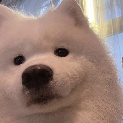 후기 사진 1
