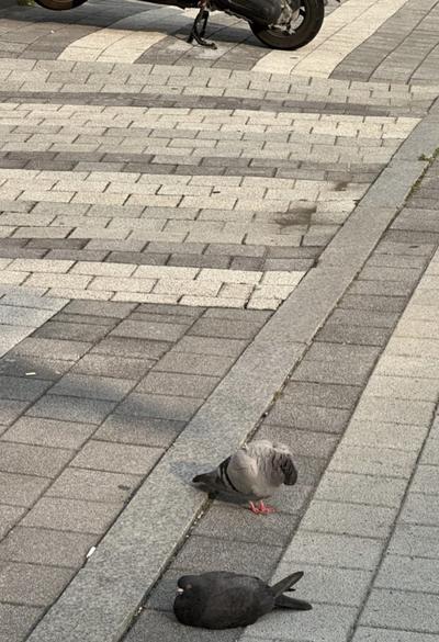 후기 사진 1