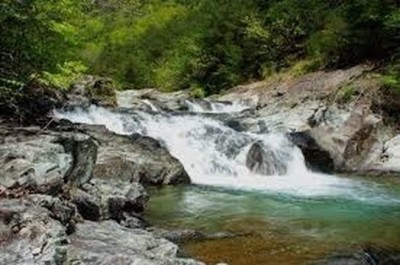 후기 사진 1