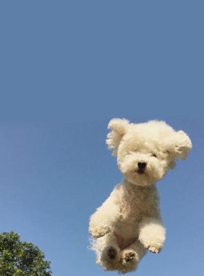 후기 사진 1