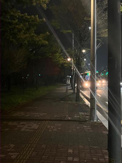 후기 사진 1