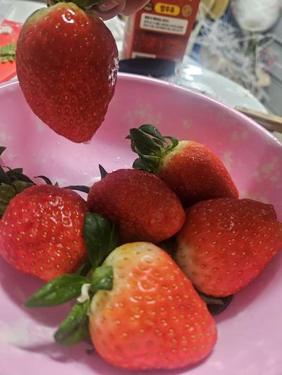 후기 사진 1