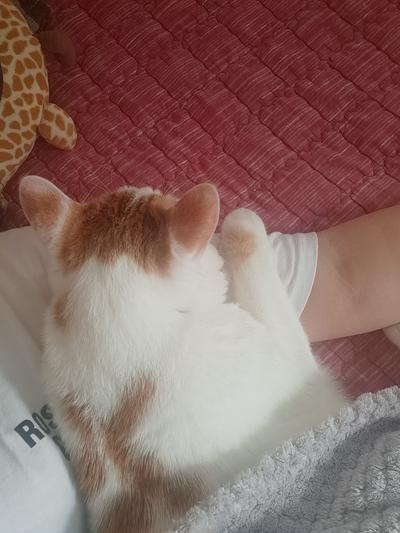 후기 사진 1
