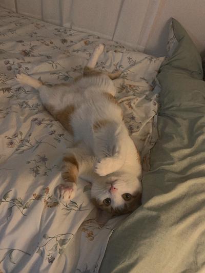 후기 사진 1