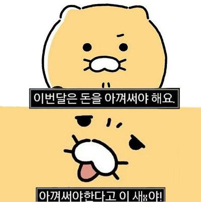 후기 사진 1