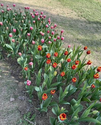 후기 사진 1