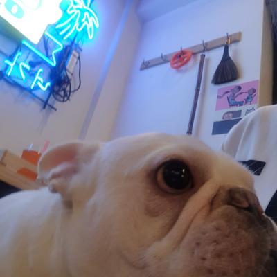 후기 사진 2