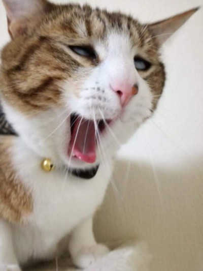 후기 사진 1