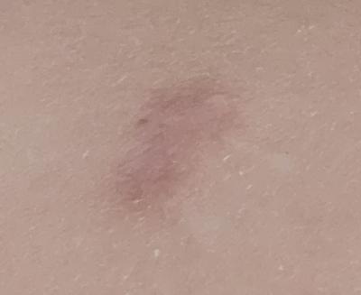 후기 사진 2