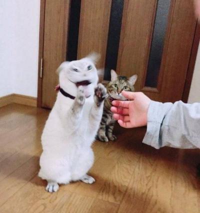 후기 사진 1