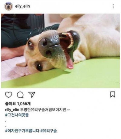 후기 사진 2
