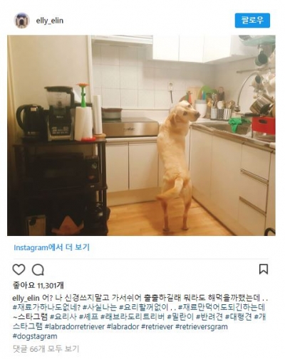 후기 사진 4