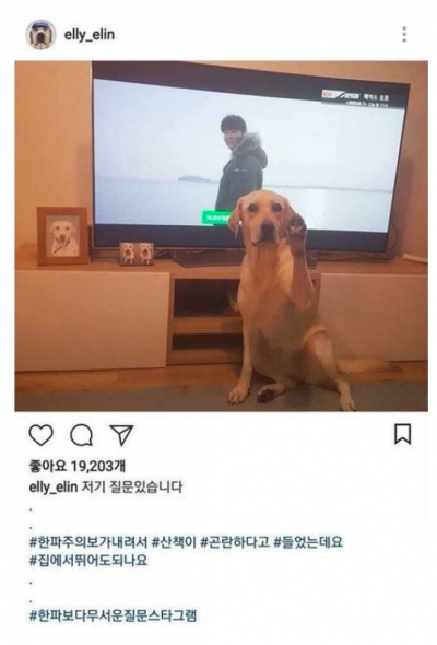 후기 사진 1
