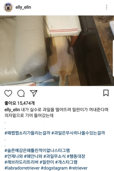 후기 사진 6