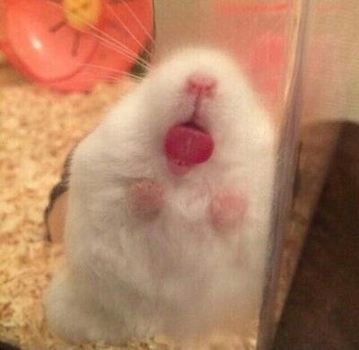 후기 사진 1