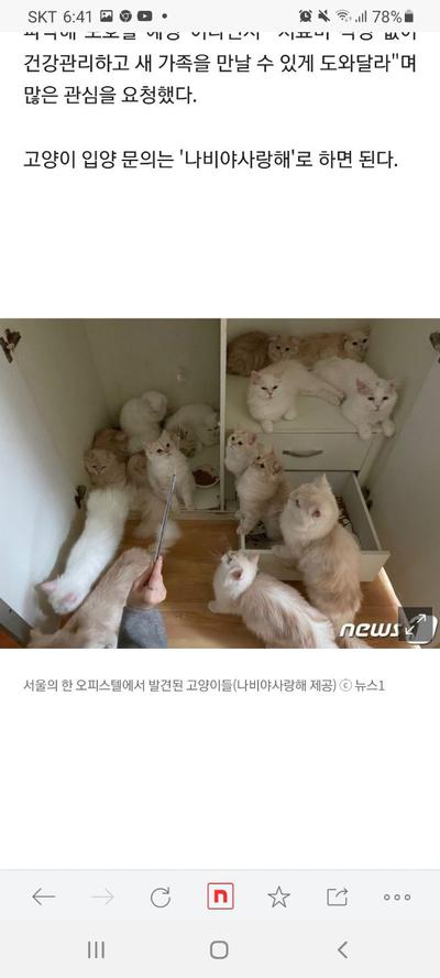 후기 사진 2
