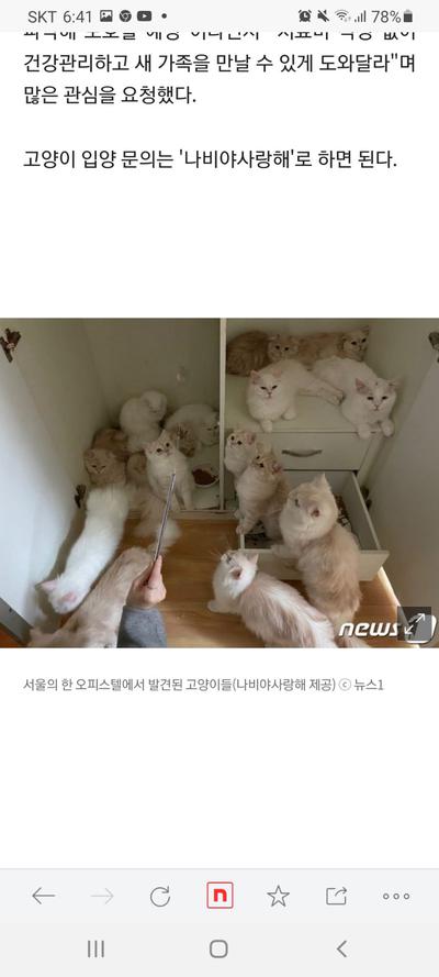 후기 사진 3