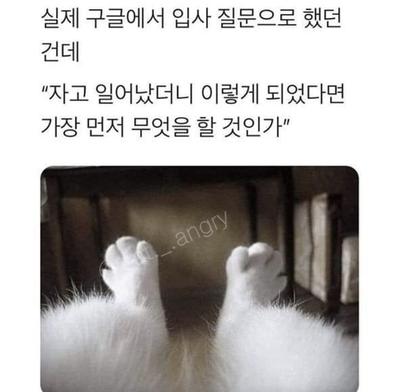 후기 사진 1