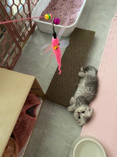 후기 사진 1