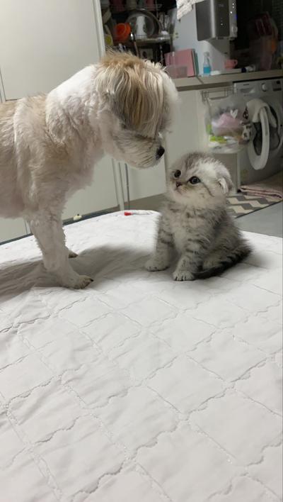 후기 사진 2
