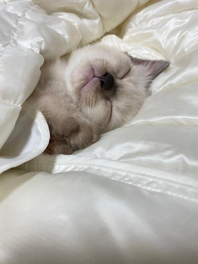후기 사진 3