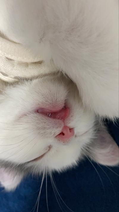 후기 사진 5