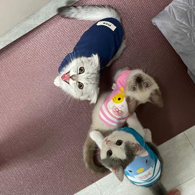 후기 사진 6