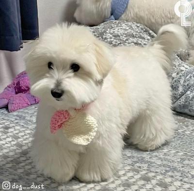 후기 사진 1