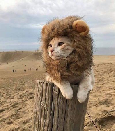후기 사진 1