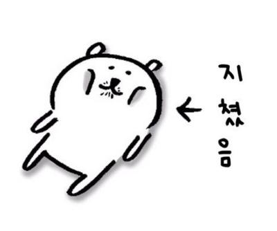 후기 사진 1