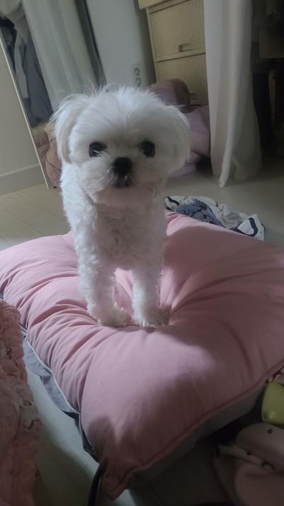 후기 사진 4