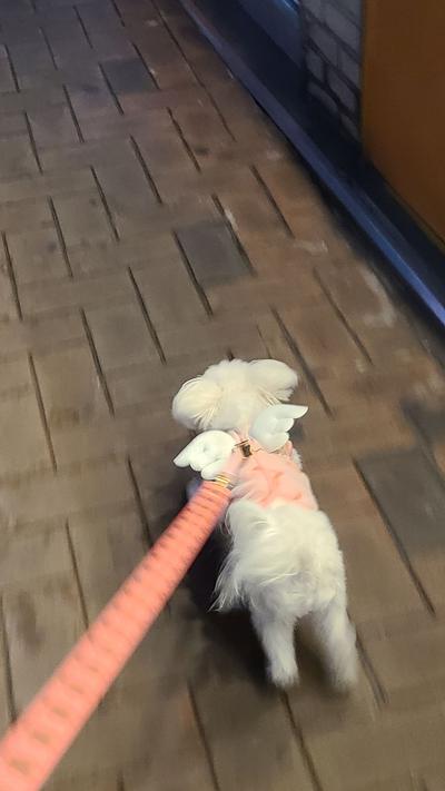 후기 사진 3