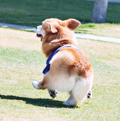 후기 사진 1