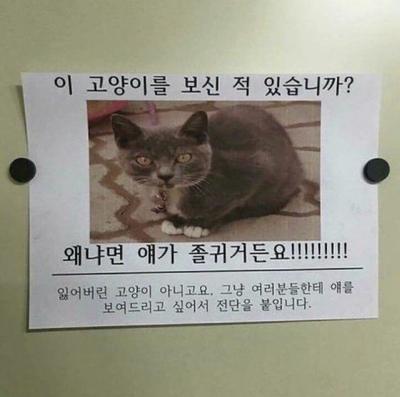후기 사진 1