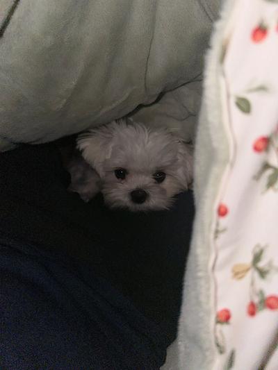 후기 사진 1