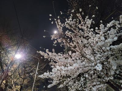 후기 사진 1
