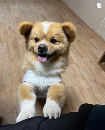 후기 사진 1